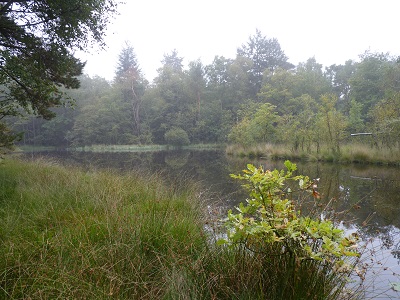 Ossenkolk, Vierhouten, gem. Nunspeet (foto: Frode Nagel)