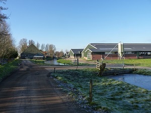 Stierop, prov. Noord-Holland (foto: Frode Nagel)